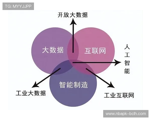 精准解读NG南宫滚球盘中的数据分析与决策